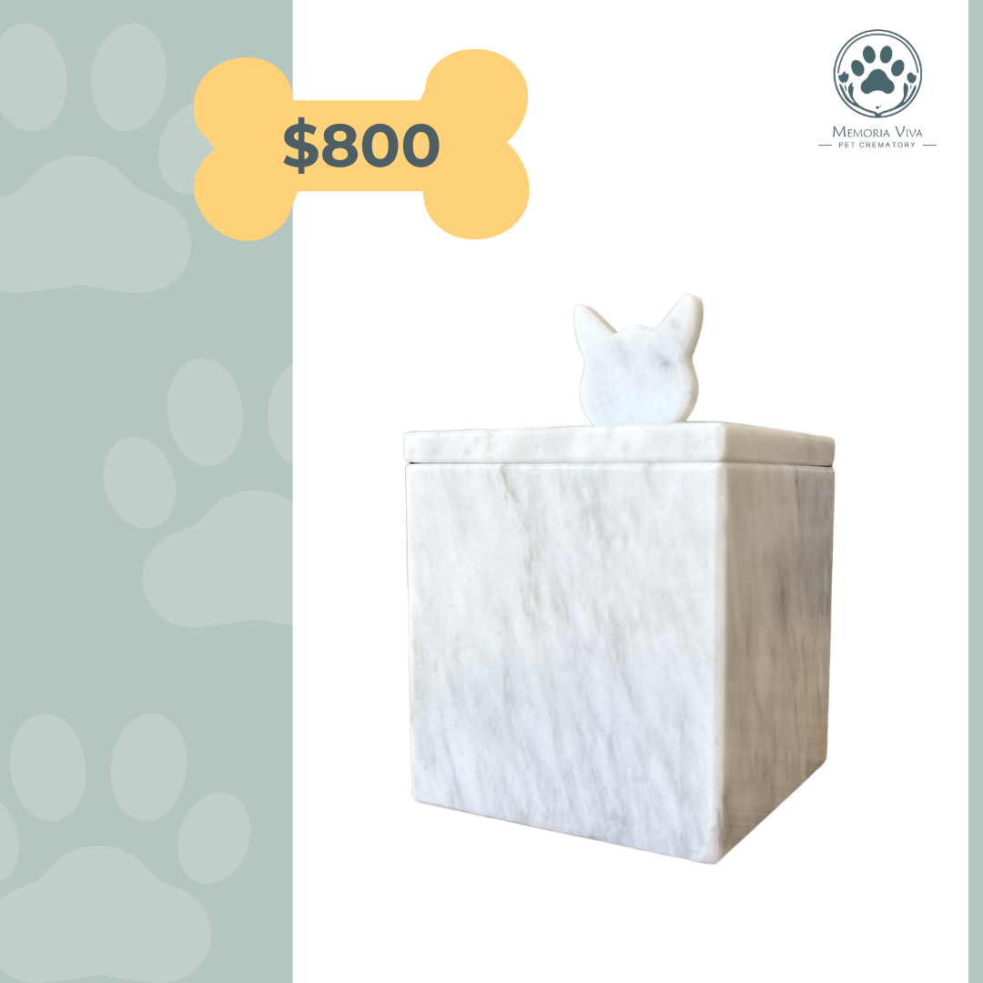 Urna para mascotas en madera personalizada